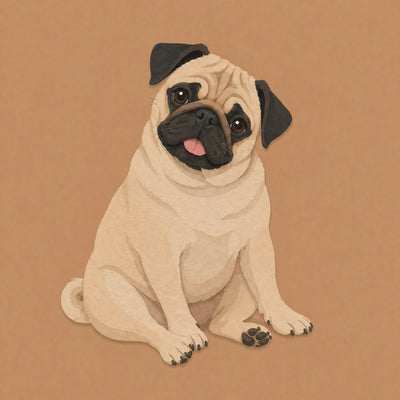 Pug