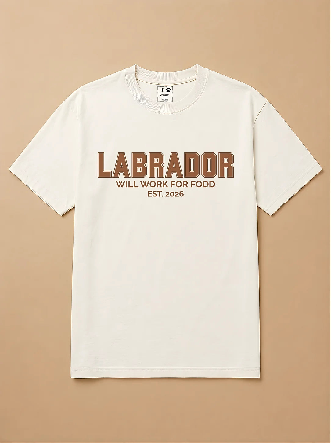 Camisa Oversized College - Labrador