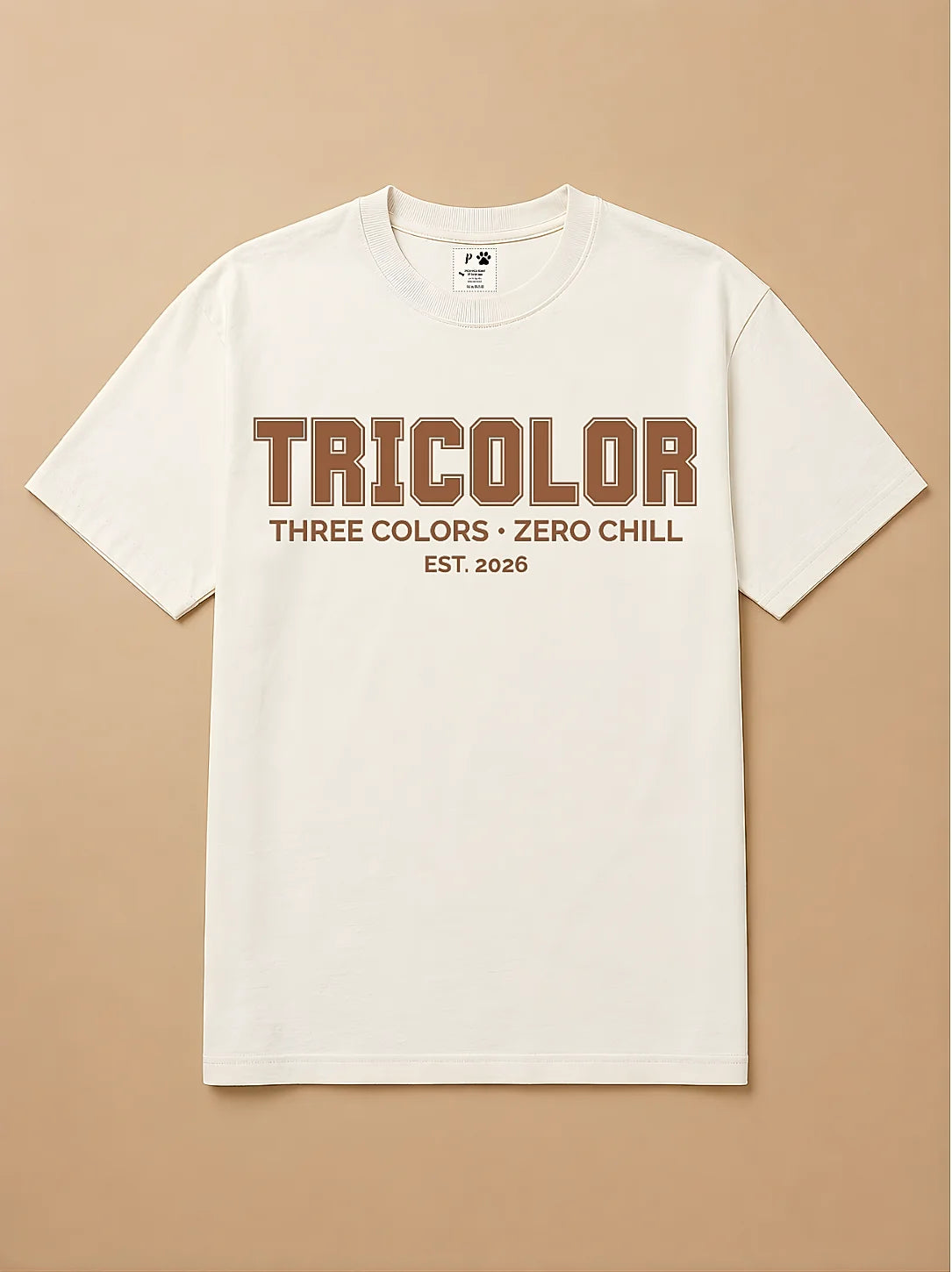 Camisa Oversized College - Gato Tricolor