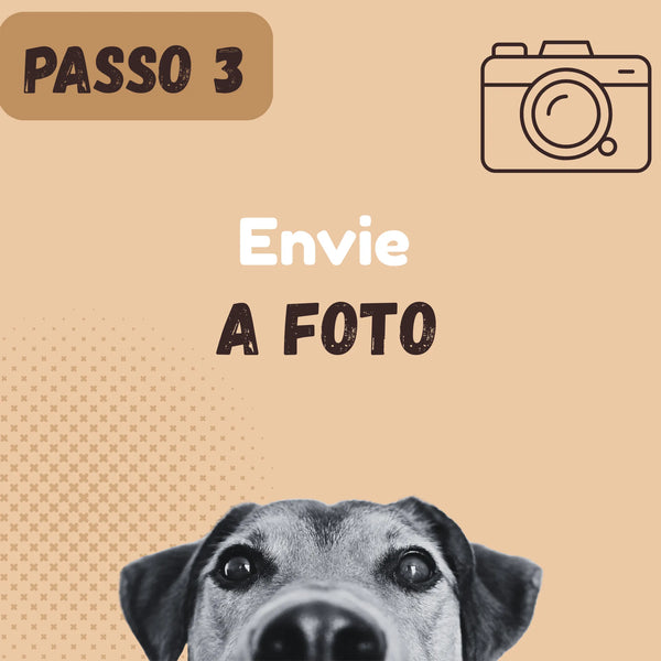 Envie a foto
